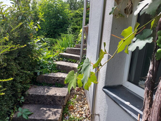 Stiegenaufgang zur Terrasse